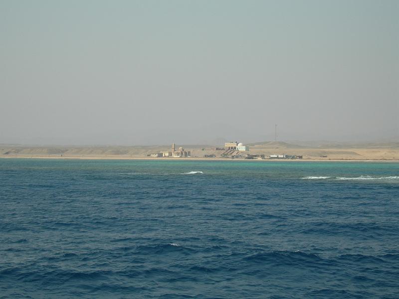 MANGROVE 07  2008 143.jpg